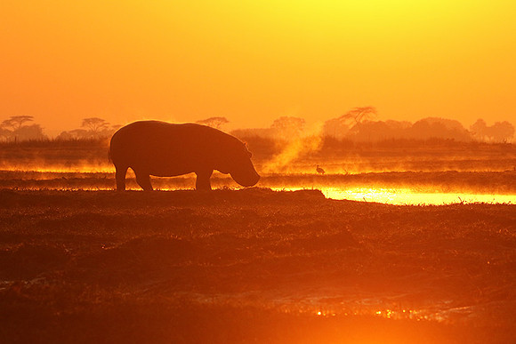 Kafue NP