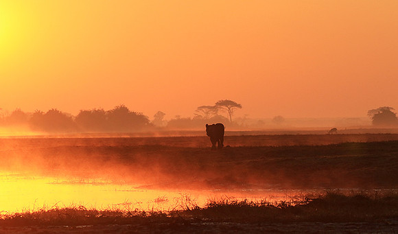 Kafue NP