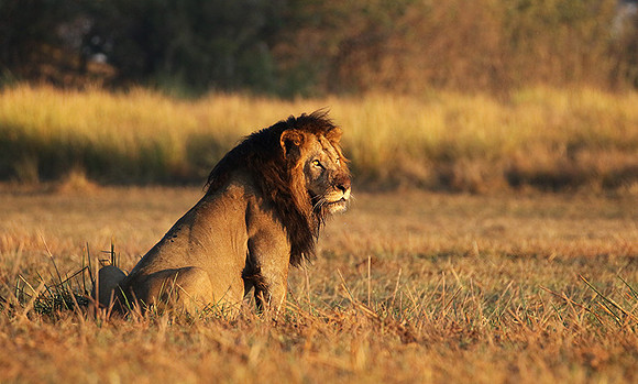 Kafue NP