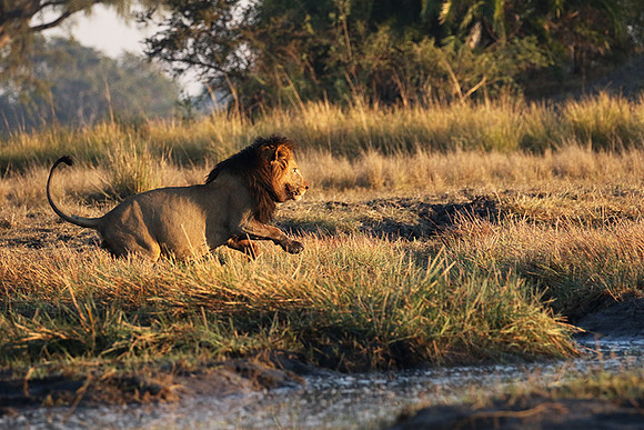 Kafue NP