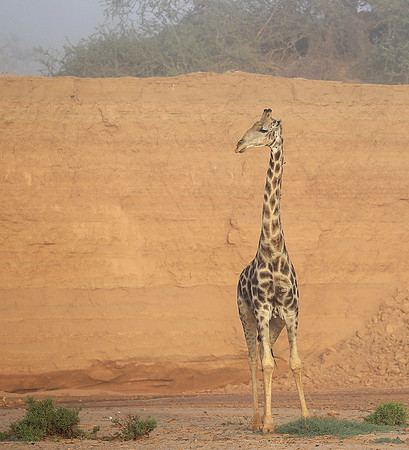 Skeleton coast