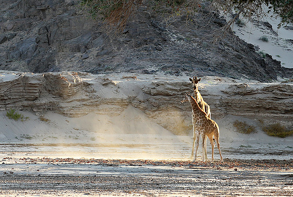 Skeleton coast