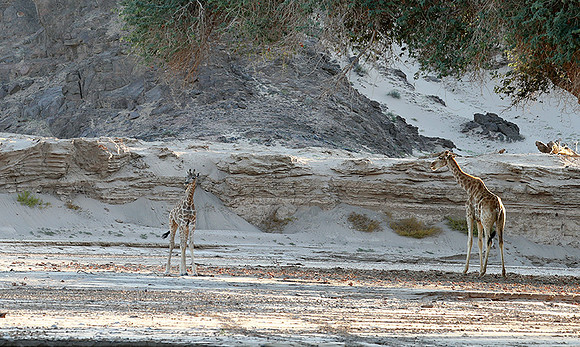 Skeleton coast
