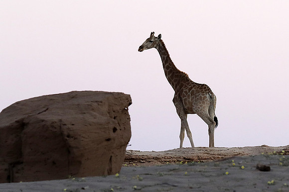 Skeleton coast