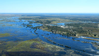 Zambia