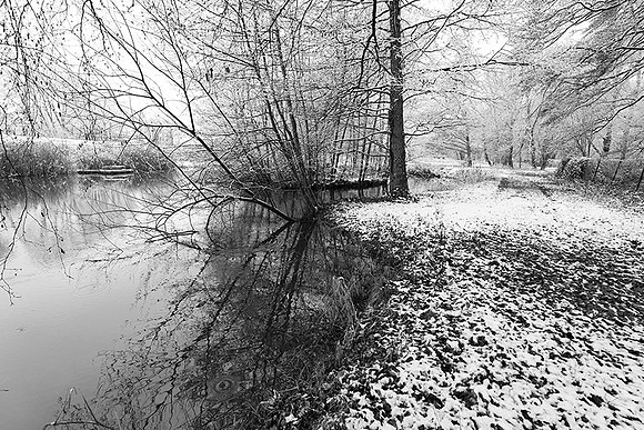 Pond in winter - east of France