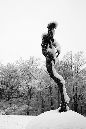 Snow covered sculpture - French artist Annick Dumarchey