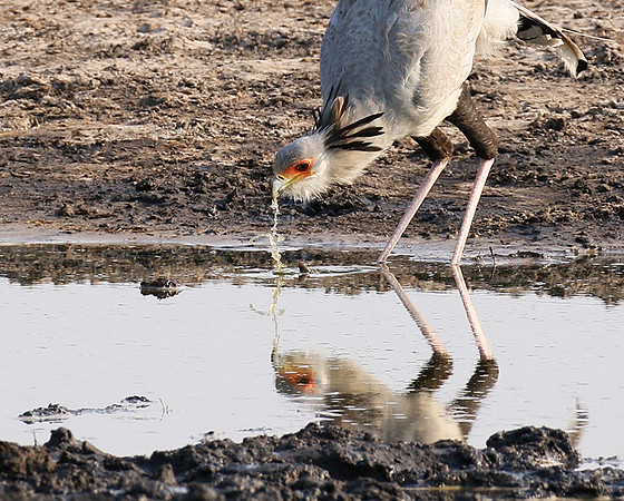 Hwange National Park