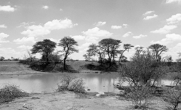 South Africa - Madikwe game reserve