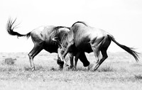 Kenya