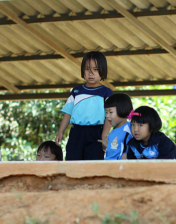 In a school yard