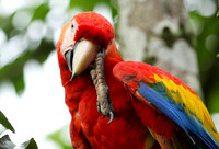 Costa Rica