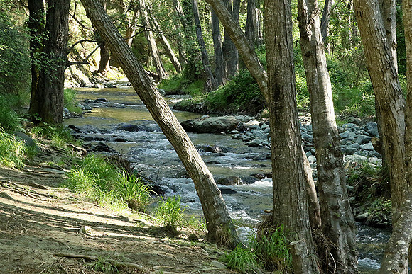 Medieval bridge near Pafos : Roudia bridge