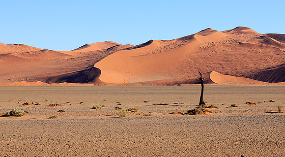 Sossusvlei - Namib desert