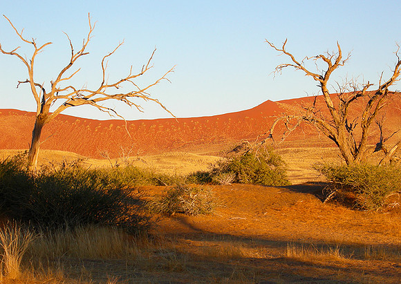 Sossusvlei - Namib desert