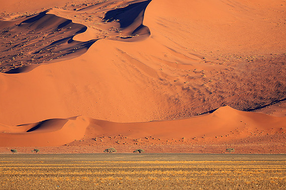 Sossusvlei - Namib desert