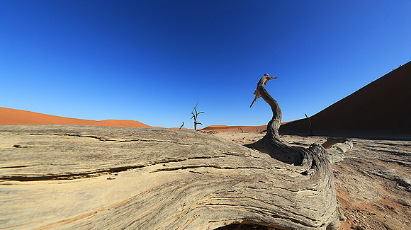 Deadvlei - Namib desert