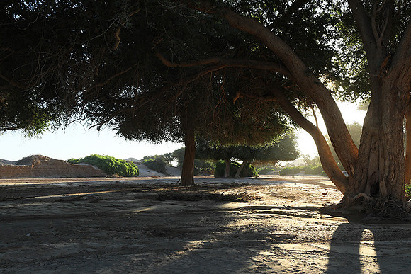 Hoanib river bed - Skeleton coast