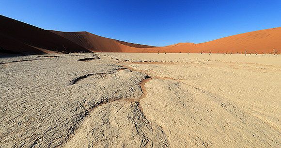 Deadvlei - Namib desert