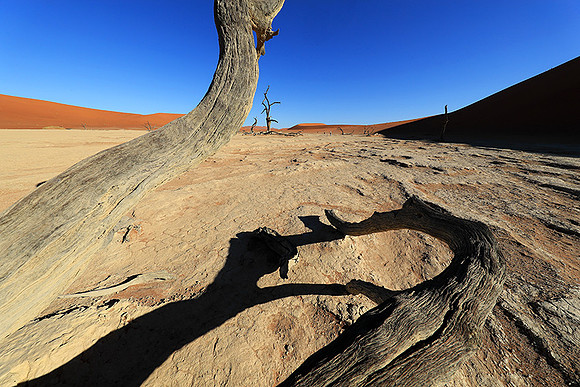 Deadvlei - Namib desert