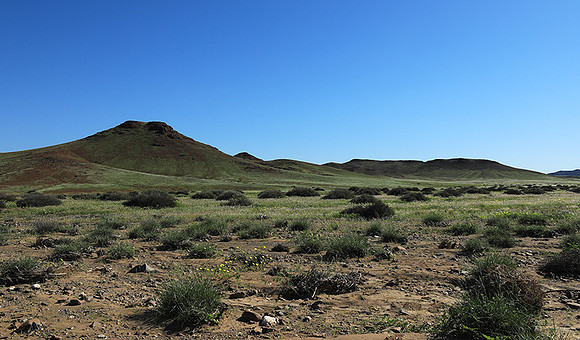 skeleton coast