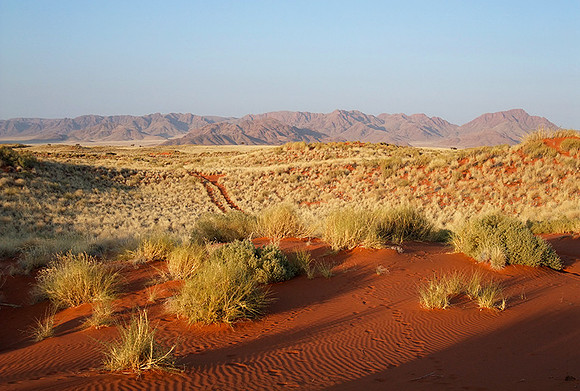 Namib Rand