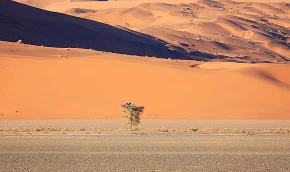 Sossusvlei - Namib desert
