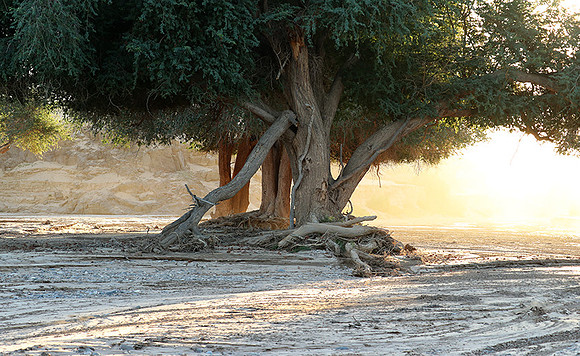 Hoanib river bed - Skeleton coast