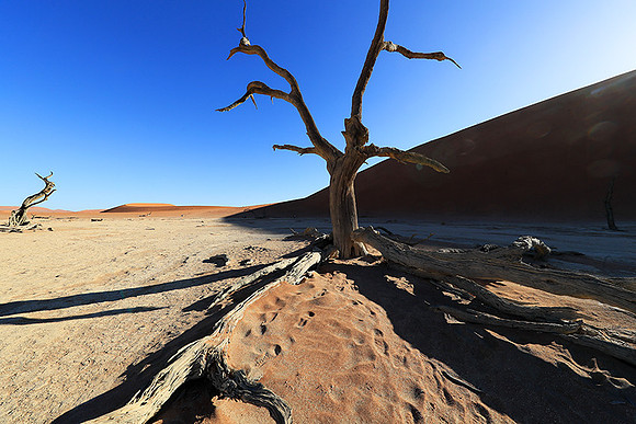 Deadvlei - Sossusvlei - Namib desert