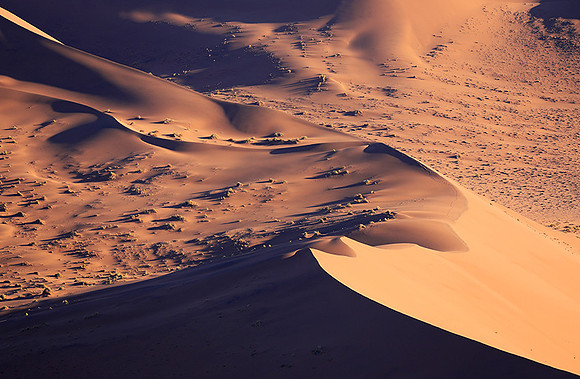 Sossusvlei - Namib desert