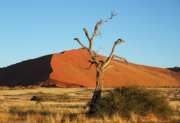 Sossusvlei - Namib desert