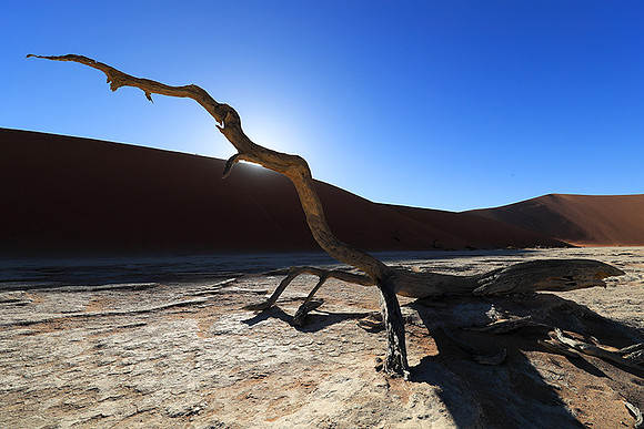 Deadvlei - Namib desert