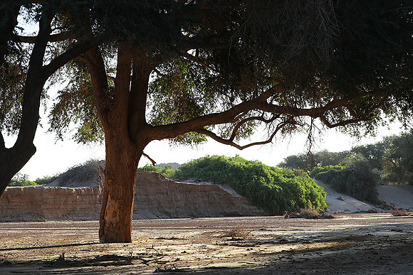 Hoanib river bed - Skeleton coast