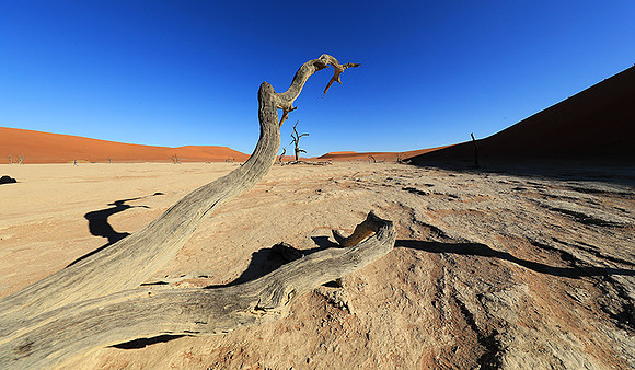 Deadvlei - Namib desert
