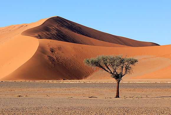 Sossusvlei - Namib desert