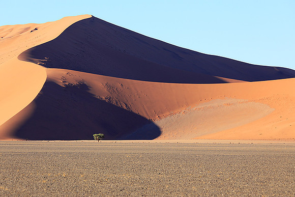 Sossusvlei - Namib desert