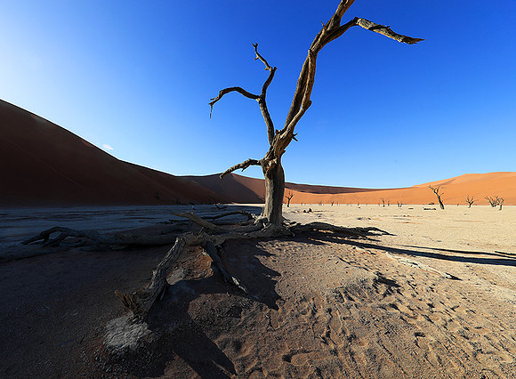 Deadvlei - Namib desert
