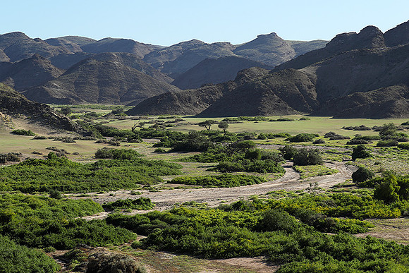 skeleton coast