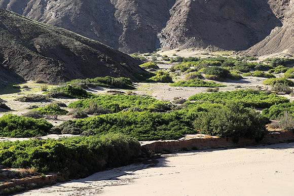 skeleton coast