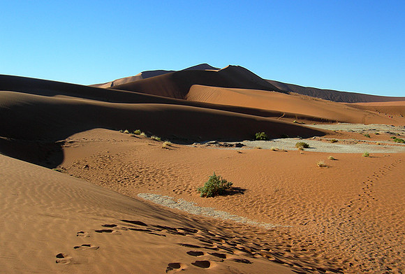 Sossusvlei - Namib desert