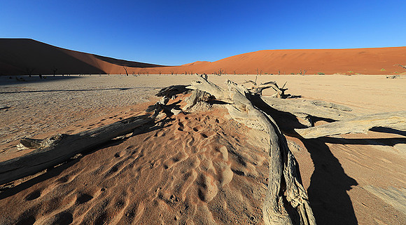 Deadvlei - Namib desert