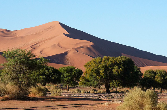 Sossusvlei - Namib desert