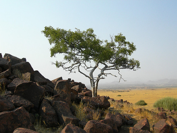Twifelfontein