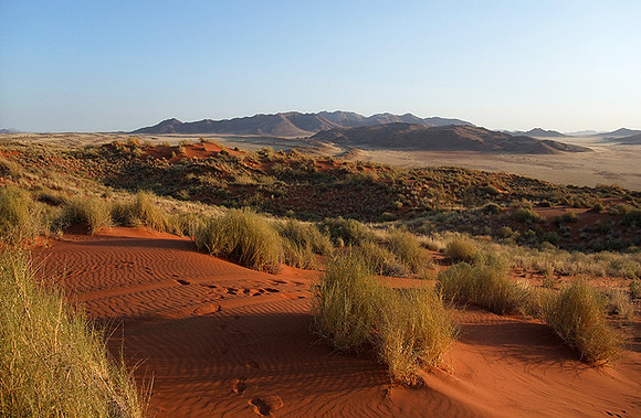 Namib Rand