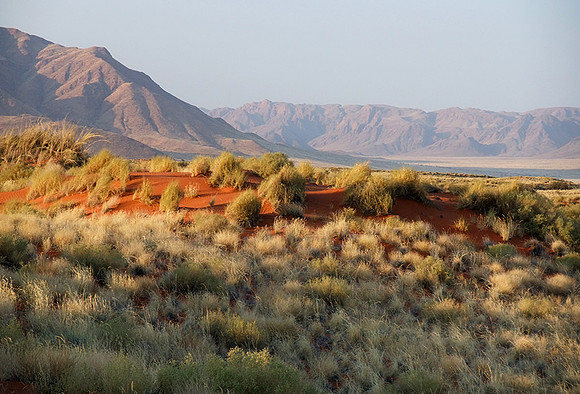 Namib Rand