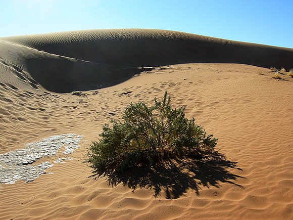 Sossusvlei - Namib desert
