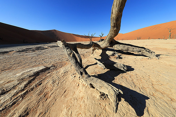 Deadvlei - Namib desert
