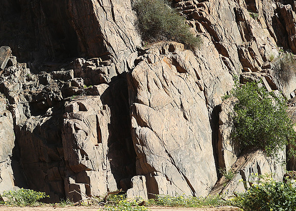 Faces in rocks - Skeleton Coast