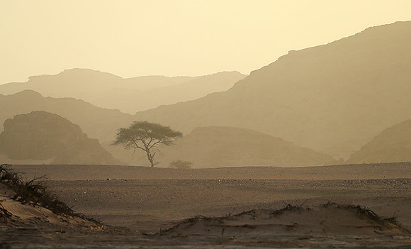 skeleton coast