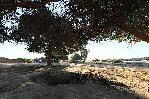 Hoanib river bed - Skeleton coast